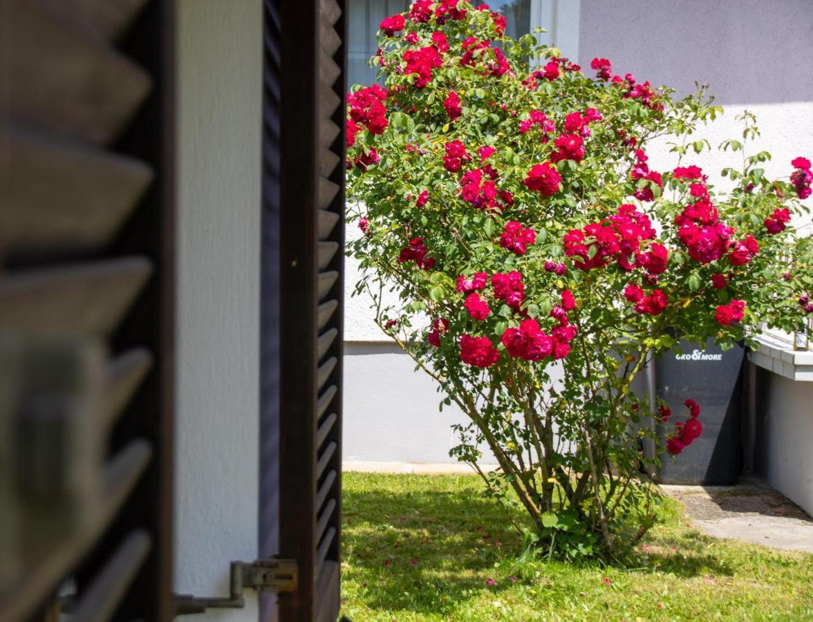 Villa Apfelhaus à Wagna Extérieur photo